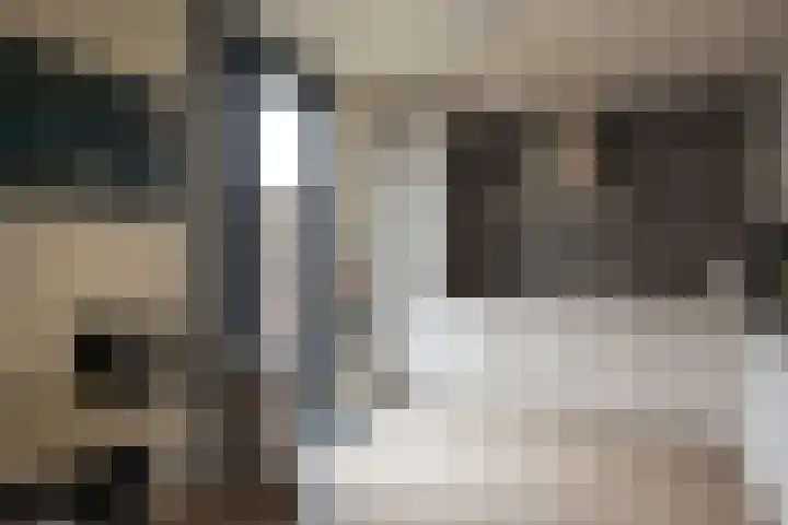 Populierstraat 13 Heerle thumbnail 5