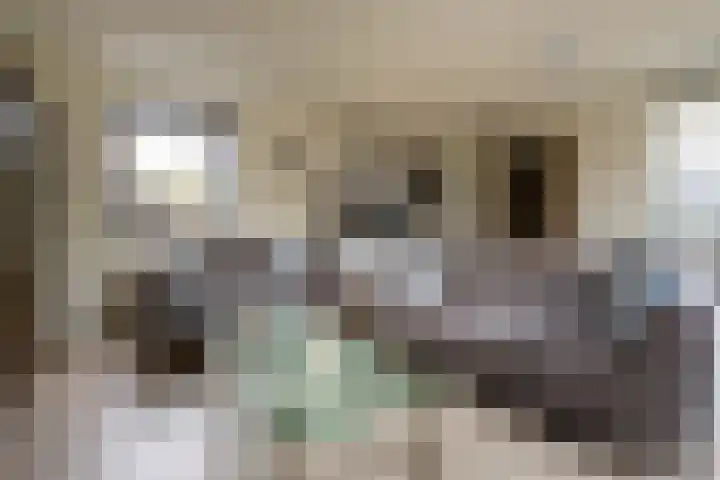 Populierstraat 13 Heerle thumbnail 8