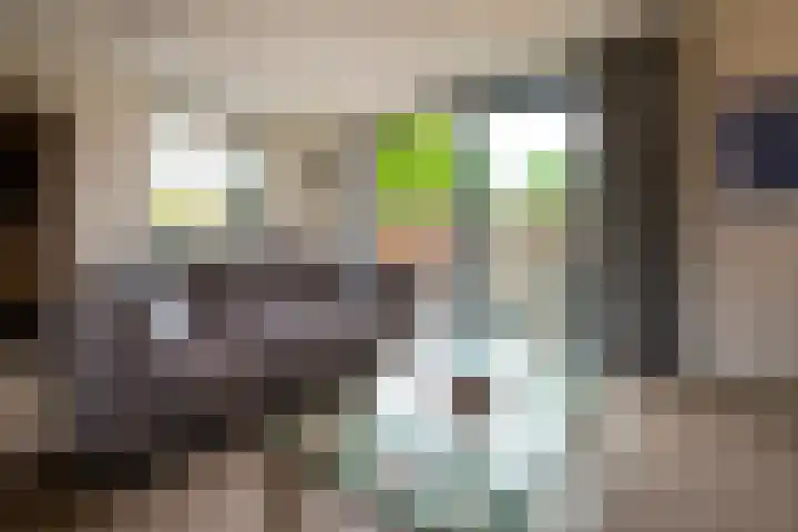 Populierstraat 13 Heerle thumbnail 9