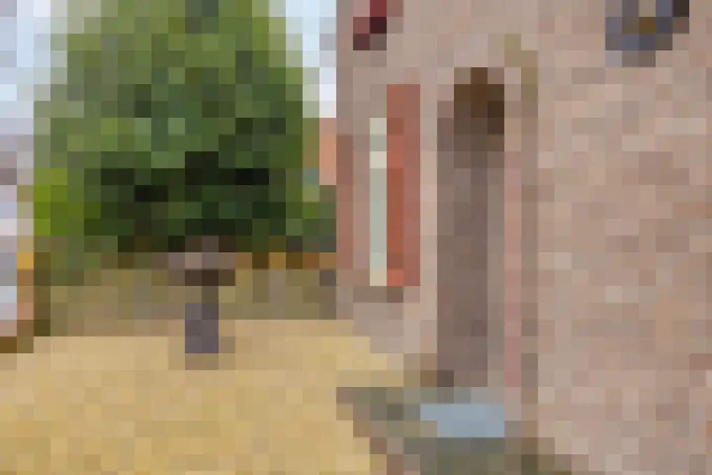 Populierstraat 13 Oss thumbnail 18