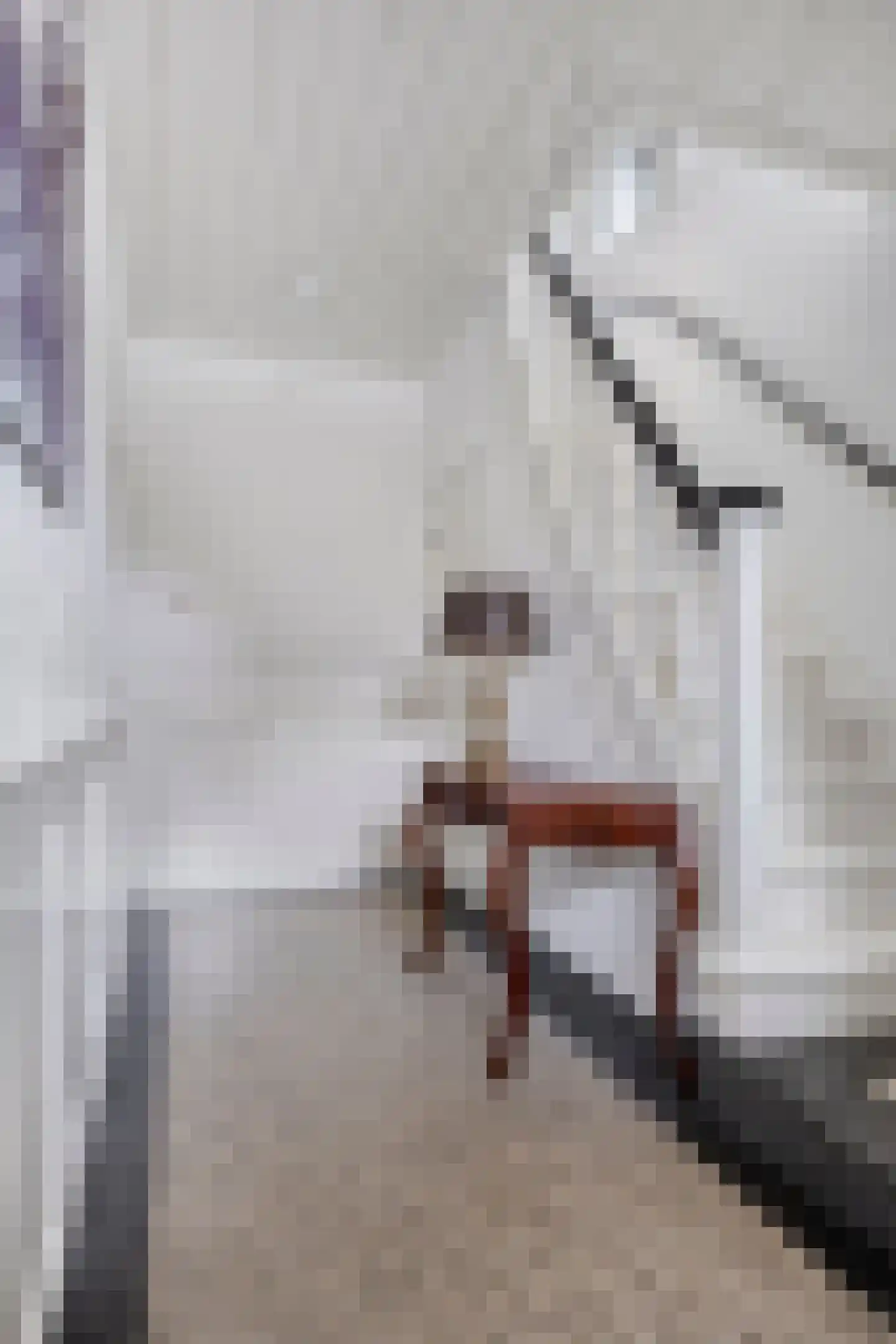 Populierstraat 13 Oss thumbnail 24