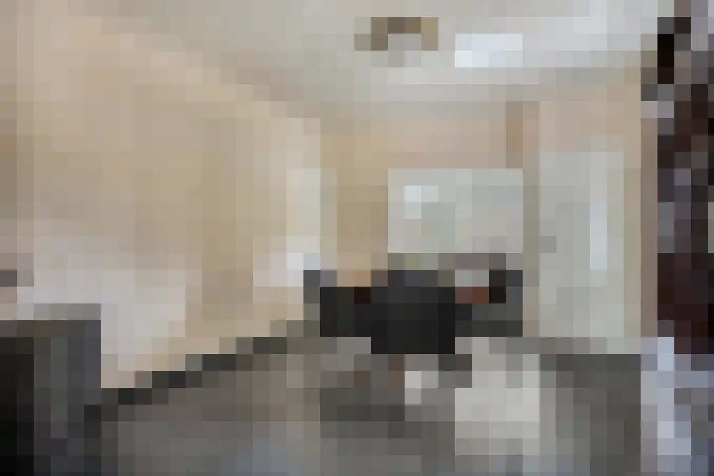 Populierstraat 13 Oss thumbnail 25
