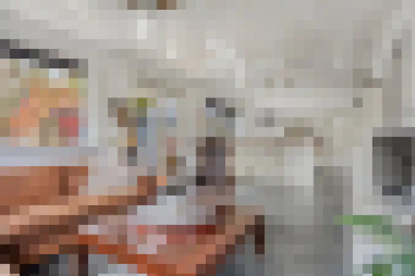 Populierstraat 13 Oss thumbnail 31