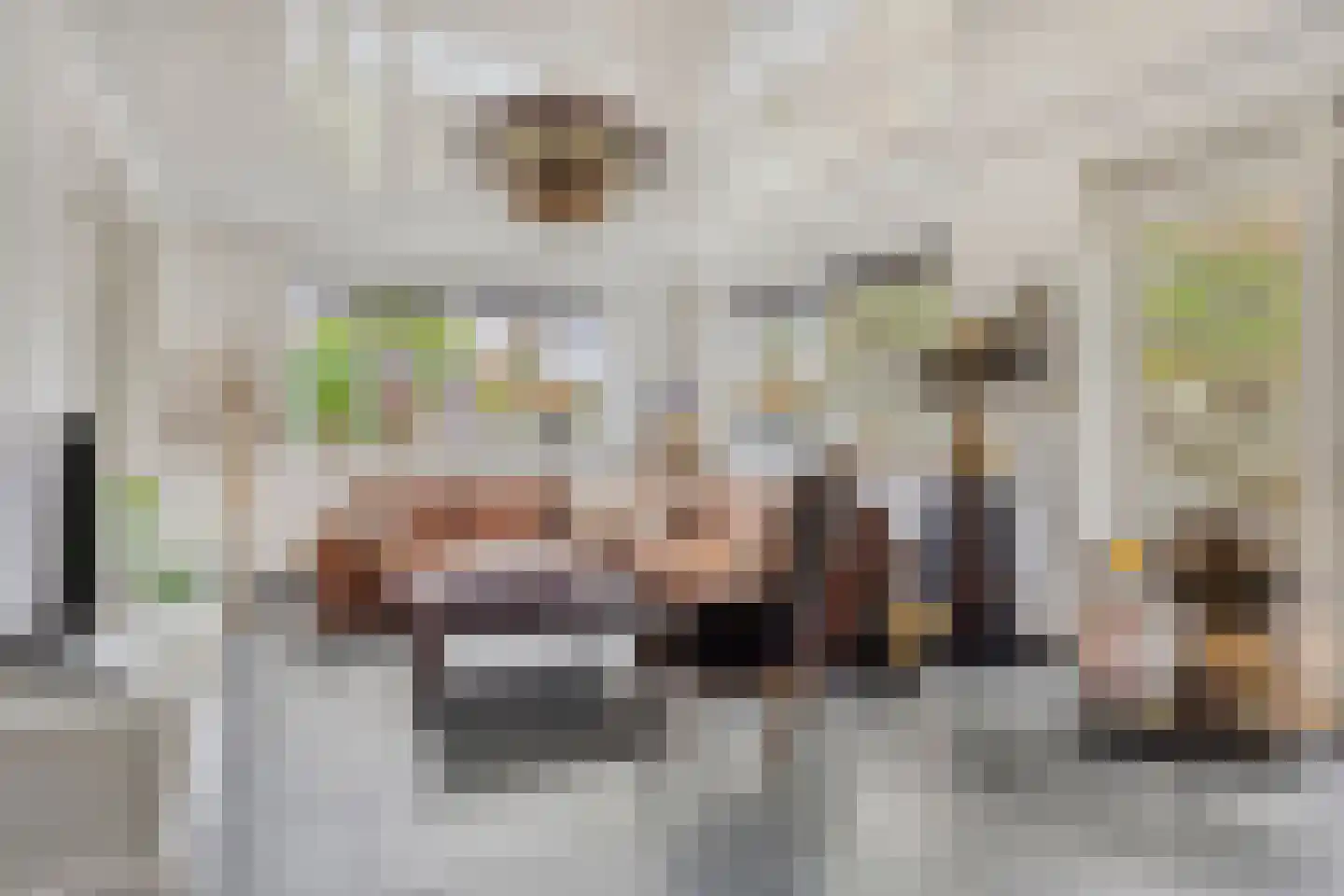 Populierstraat 13 Oss thumbnail 32