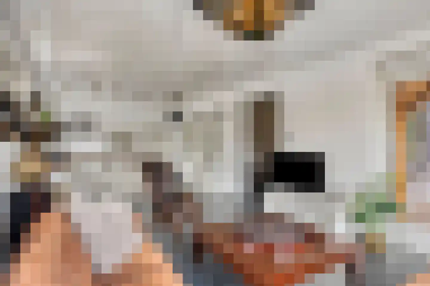 Populierstraat 13 Oss thumbnail 33