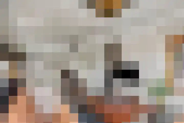 Populierstraat 13 Oss thumbnail 33