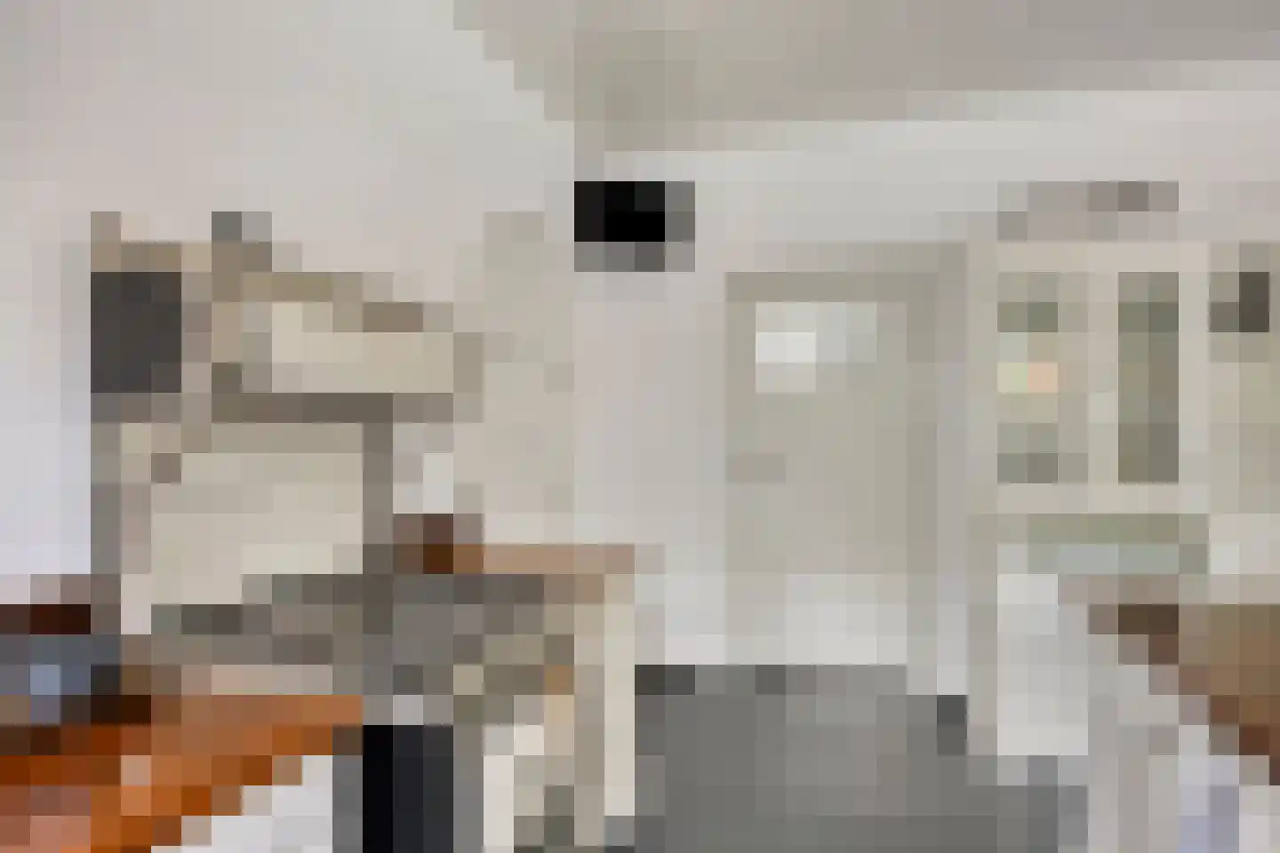 Populierstraat 13 Oss thumbnail 34