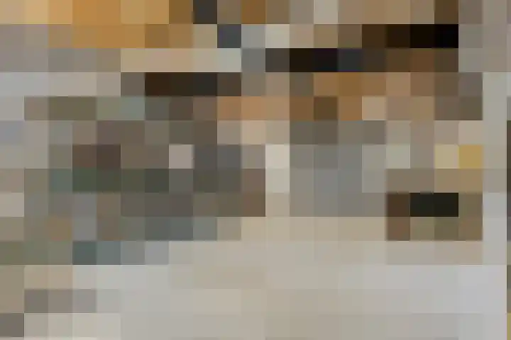 Populierstraat 13 Oss thumbnail 39