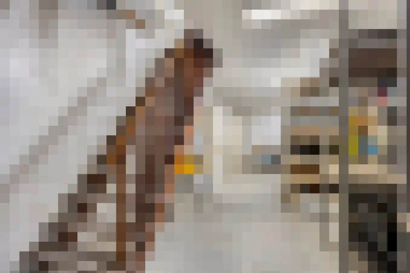 Populierstraat 13 Oss thumbnail 49
