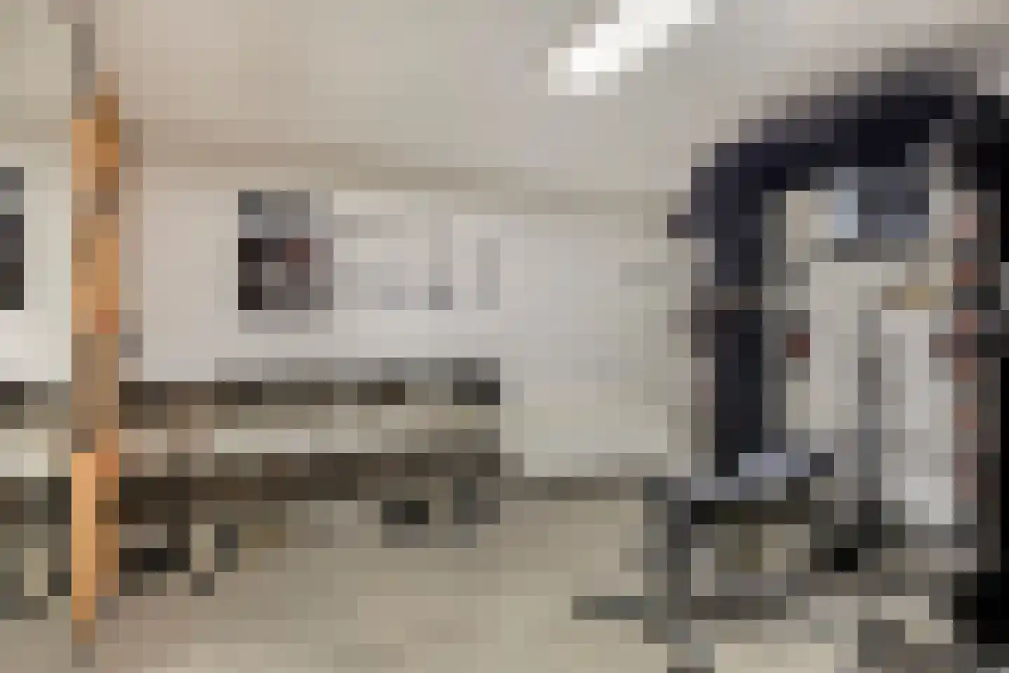 Populierstraat 13 Oss thumbnail 51