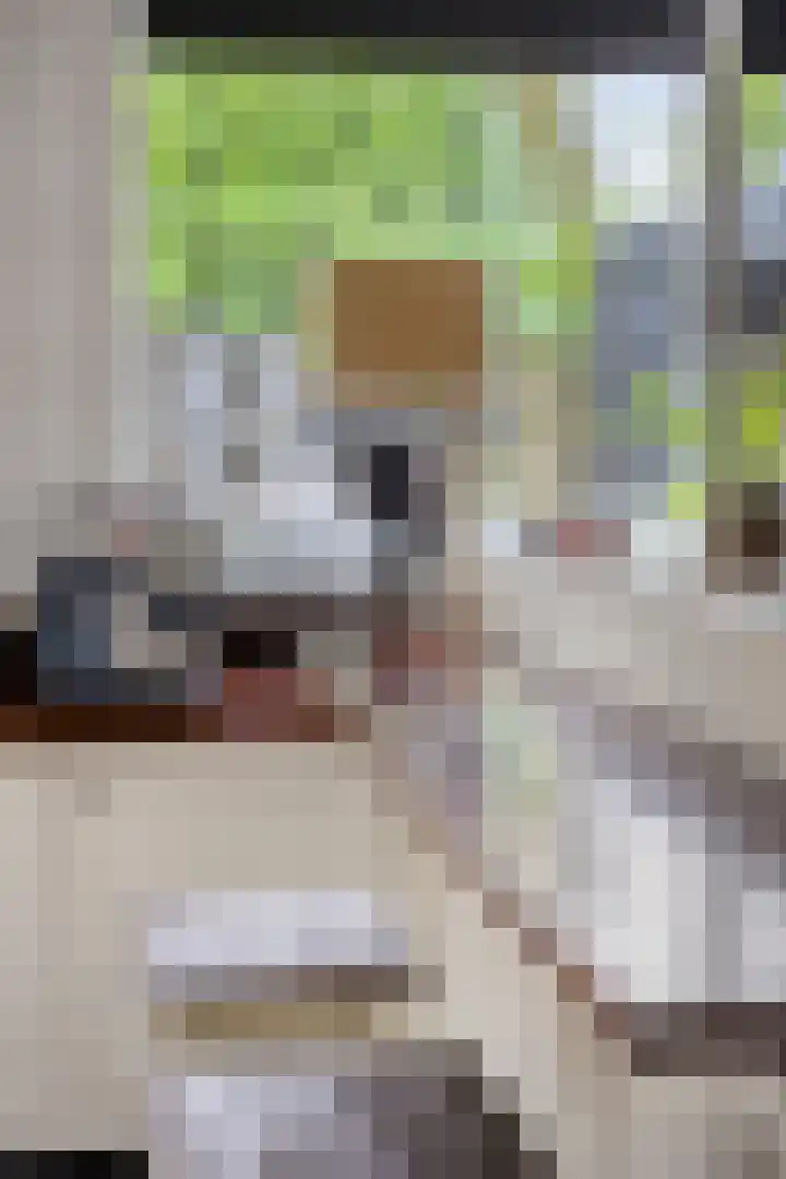 Populierstraat 13 Oss thumbnail 58