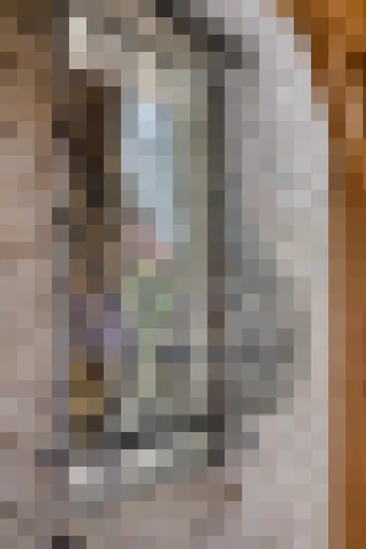 Populierstraat 13 Oss thumbnail 60
