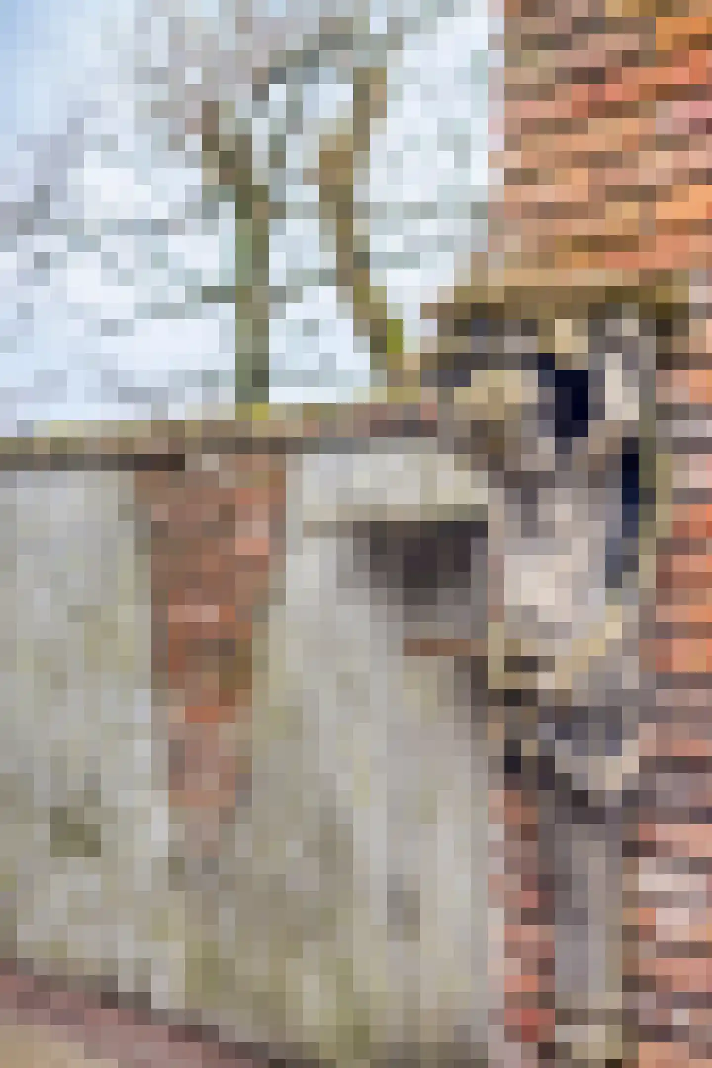 Populierstraat 13 Oss thumbnail 61