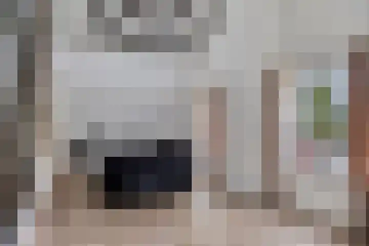 Populierstraat 13 Oss thumbnail 64