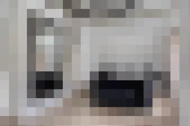 Populierstraat 13 Oss thumbnail 65