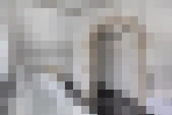 Populierstraat 13 Oss thumbnail 68
