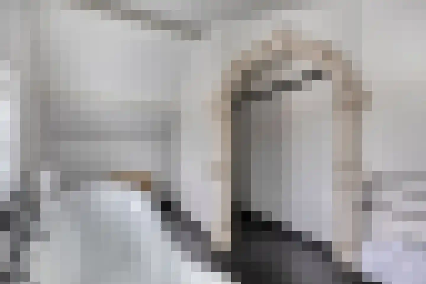 Populierstraat 13 Oss thumbnail 68