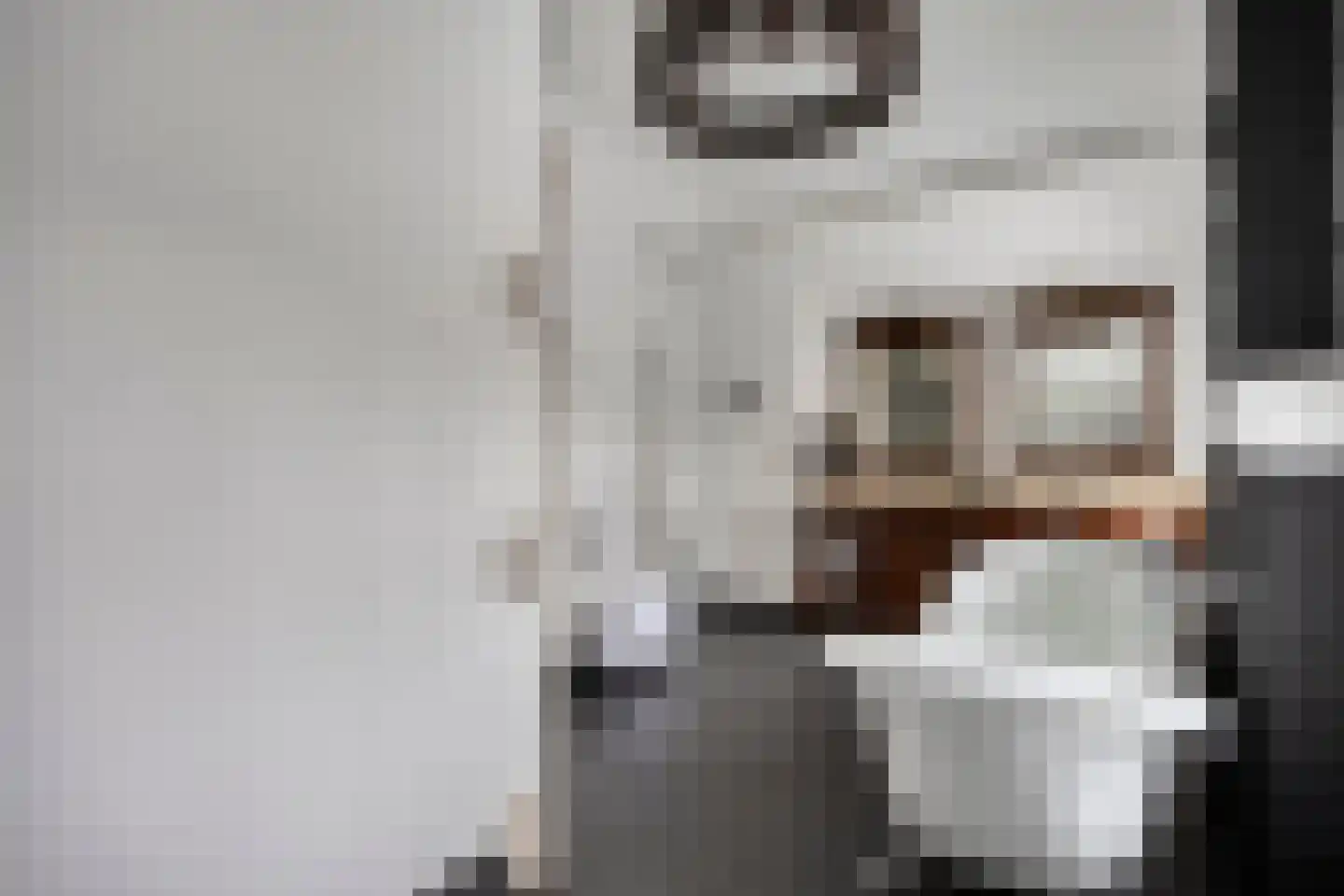 Populierstraat 13 Oss thumbnail 69