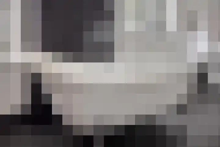 Populierstraat 13 Oss thumbnail 70
