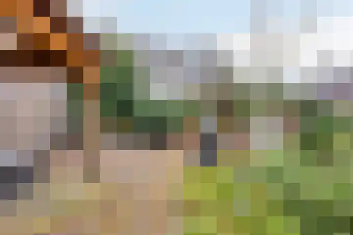 Populierstraat 13 Oss thumbnail 77