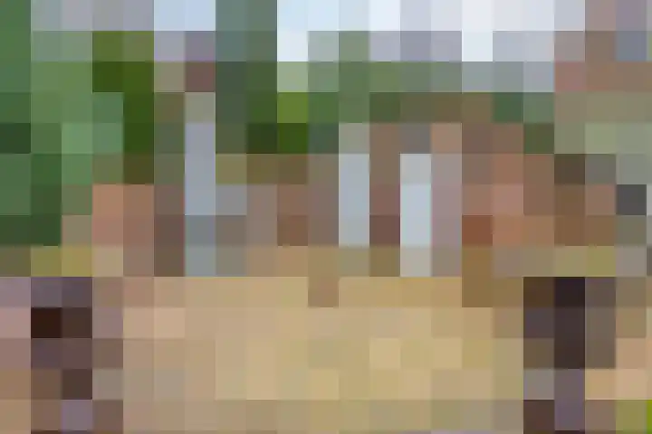 Populierstraat 13 Oss thumbnail 78