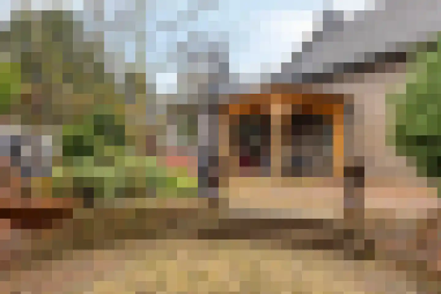 Populierstraat 13 Oss thumbnail 79