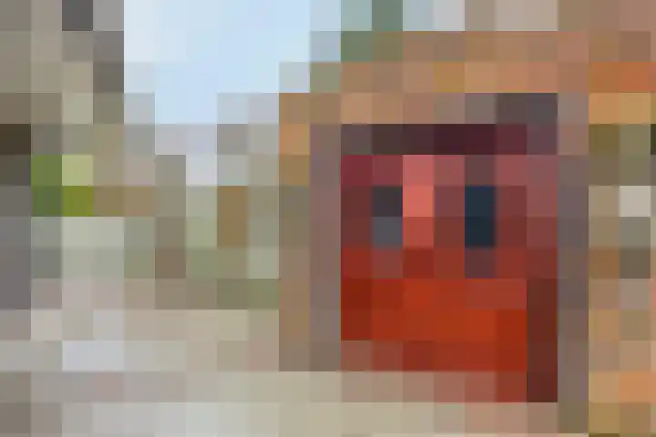 Populierstraat 13 Oss thumbnail 81