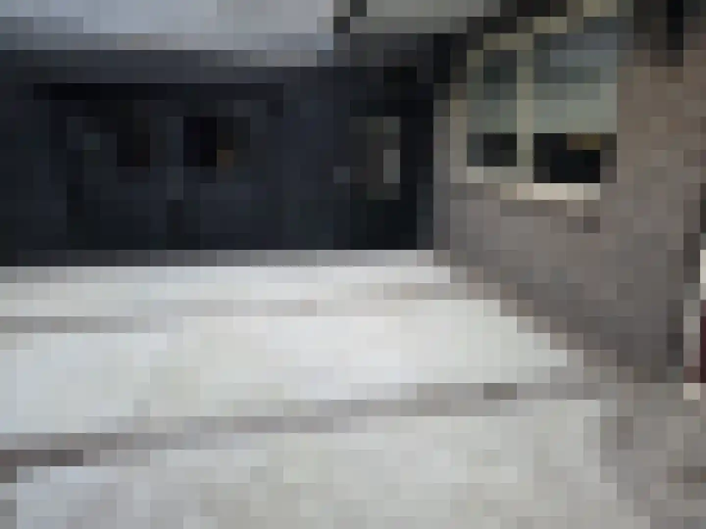 Populierstraat 13 Oss thumbnail 82