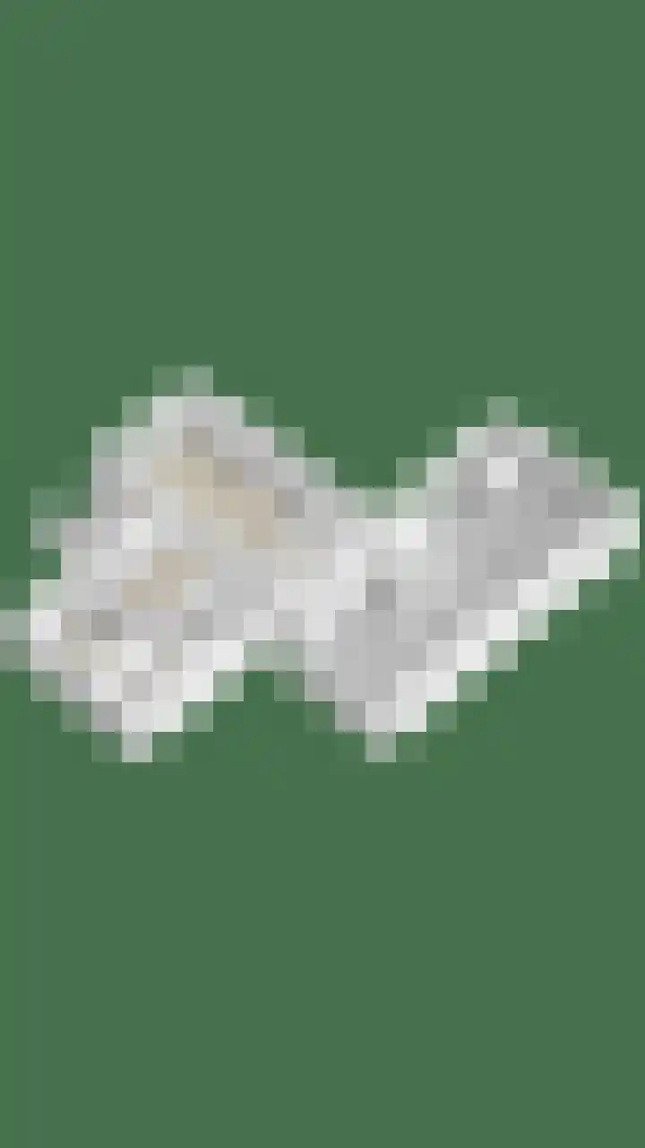 Populierstraat 13 Oss thumbnail 83