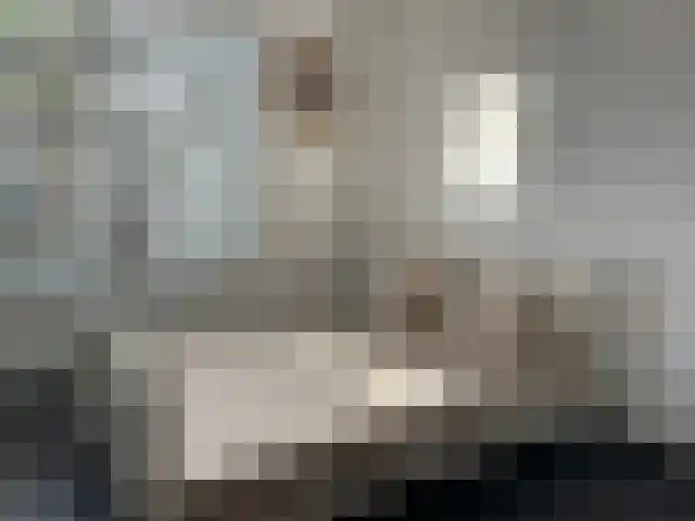 Populierstraat 13 Oss thumbnail 85