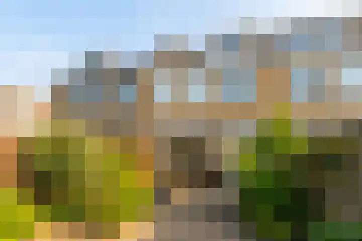 Populierstraat 14 Vianen thumbnail 22