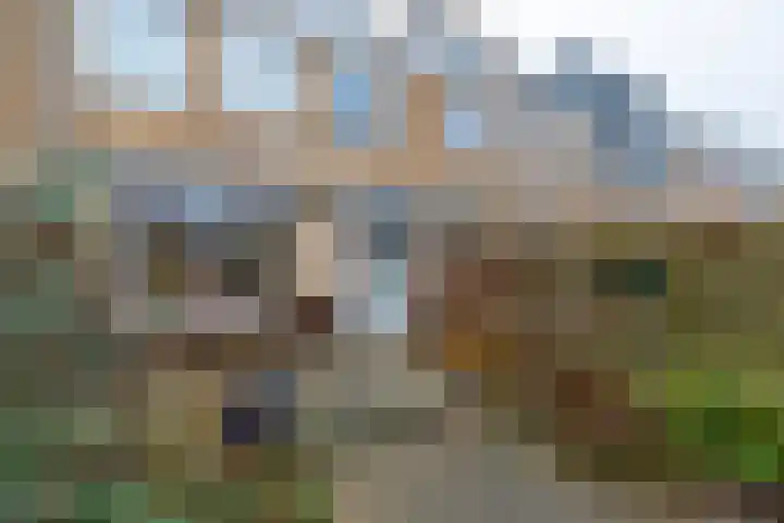 Populierstraat 14 Vianen thumbnail 26