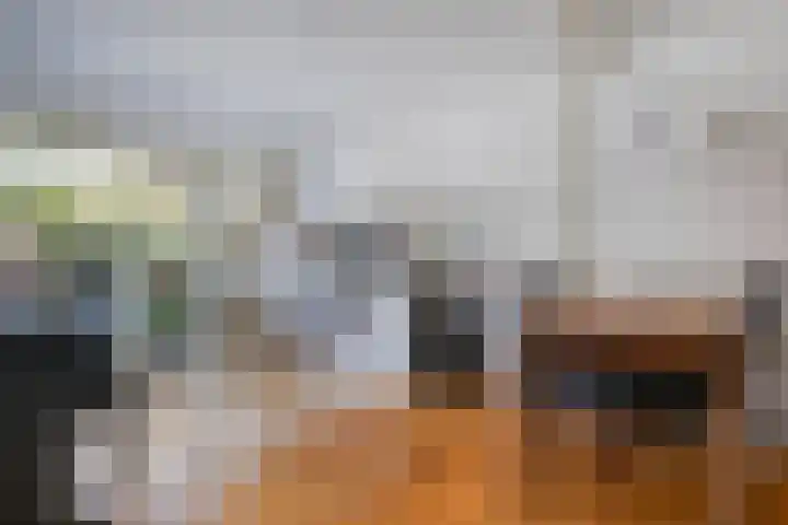 Populierstraat 16 Woerden thumbnail 13