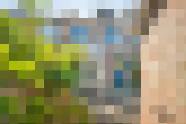 Populierstraat 16 Woerden thumbnail 26