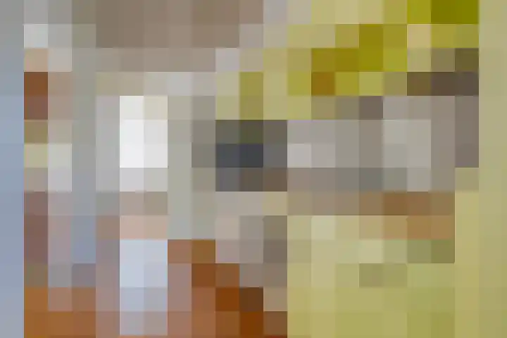 Populierstraat 16 Woerden thumbnail 5