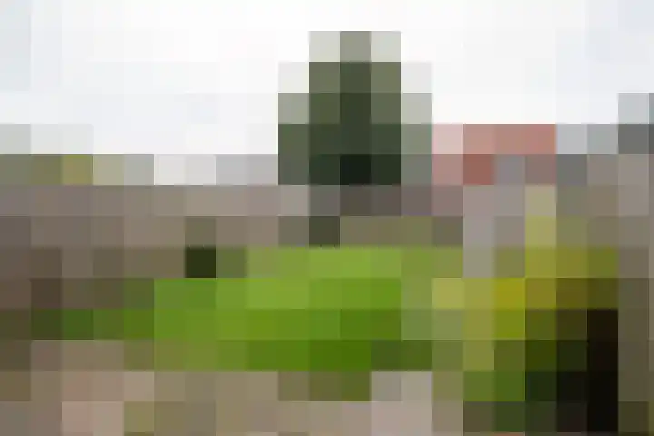 Populierstraat 18 Enschede thumbnail 20