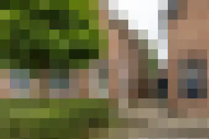 Populierstraat 18 Enschede thumbnail 4