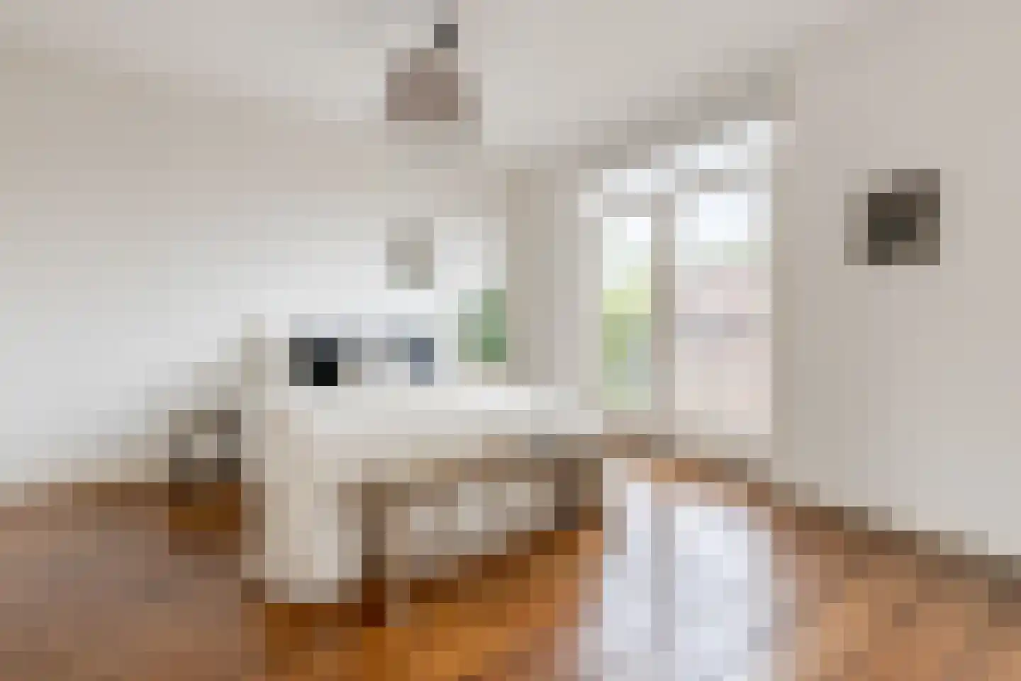 Populierstraat 19 Haarlem thumbnail 24