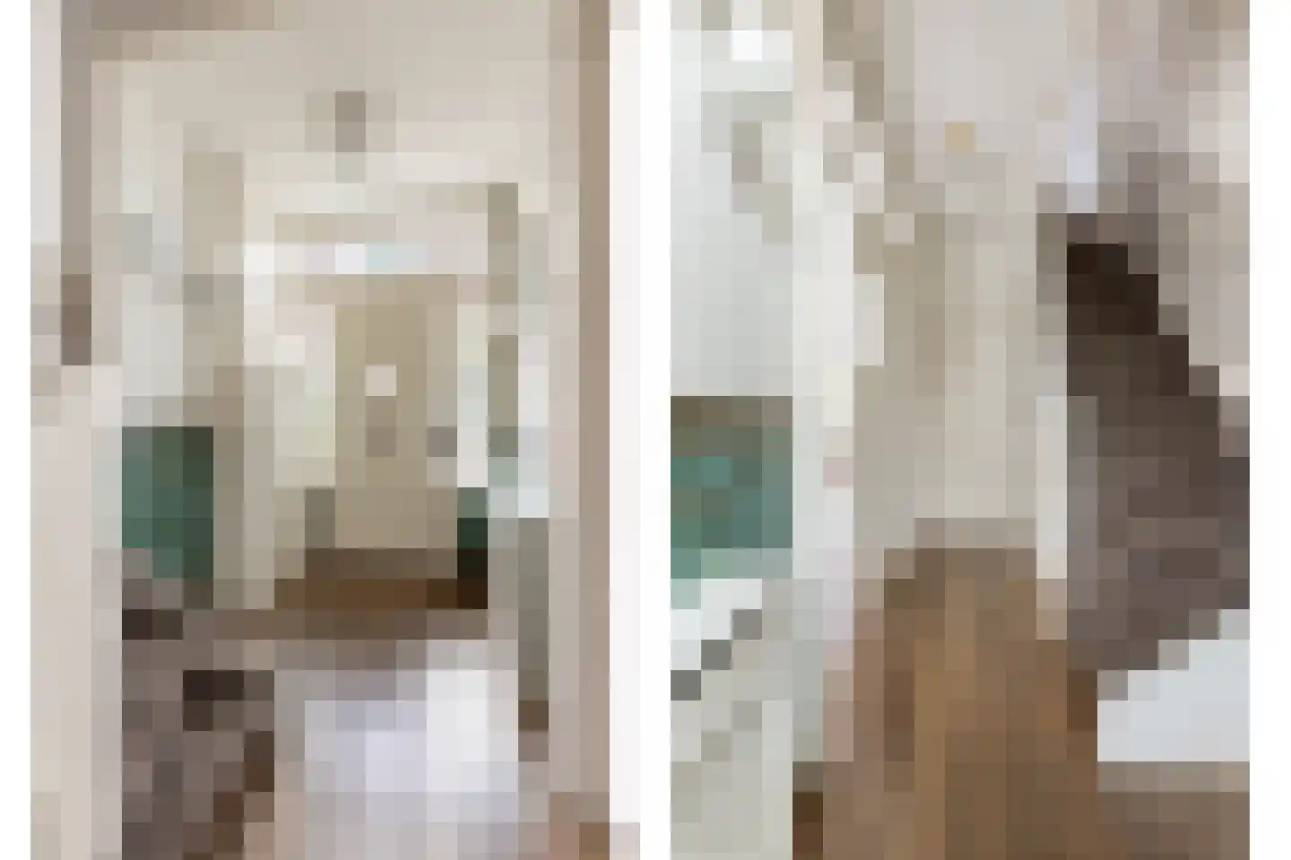 Populierstraat 19 Haarlem thumbnail 4