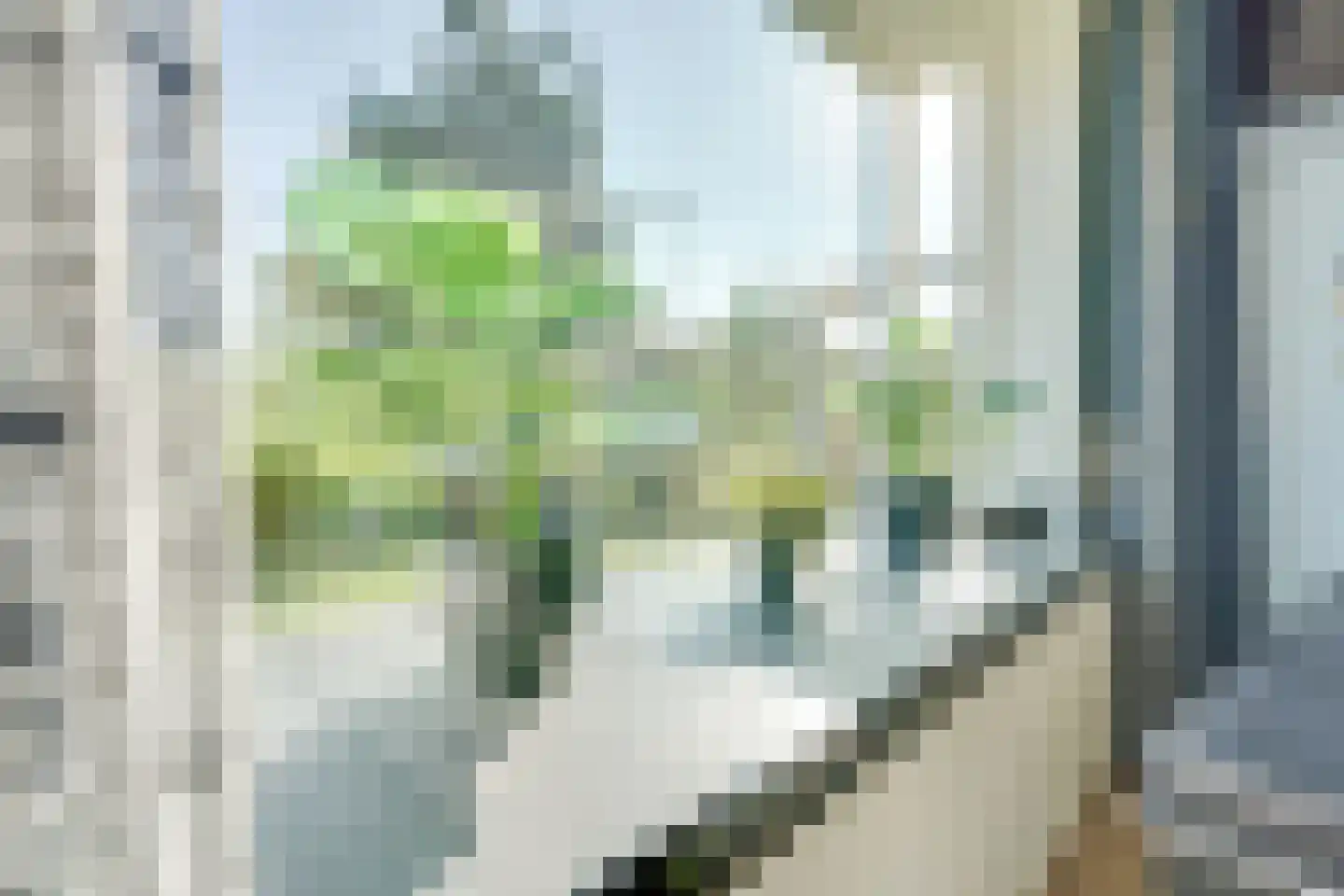Populierstraat 2 Vianen thumbnail 11