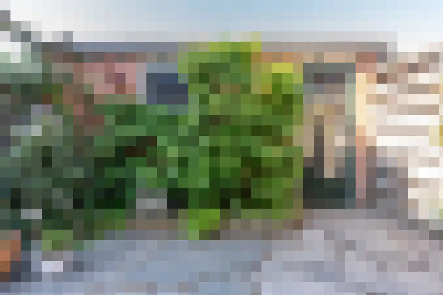 Populierstraat 2 Vianen thumbnail 26
