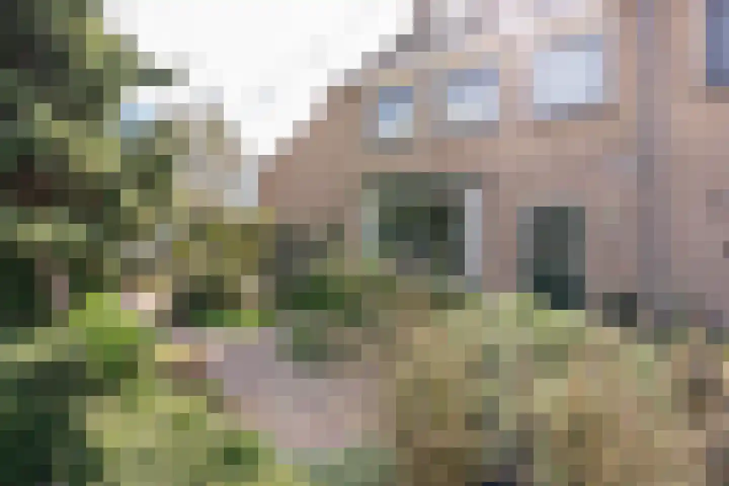 Populierstraat 2 Vianen thumbnail 46