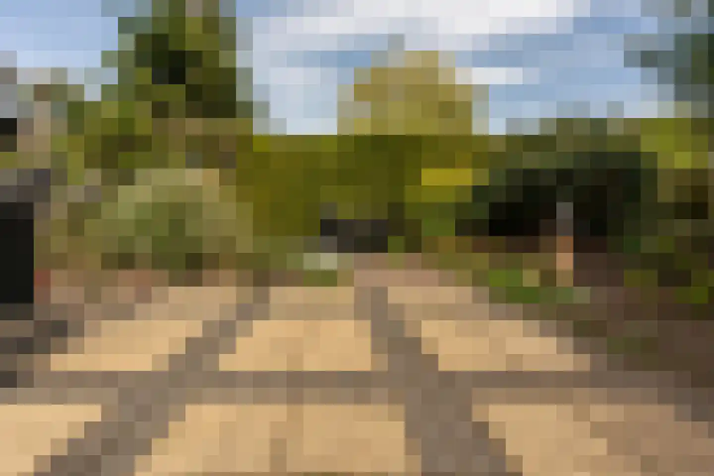 Populierstraat 2 Vianen thumbnail 48