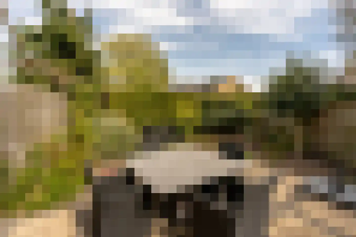 Populierstraat 2 Vianen thumbnail 49