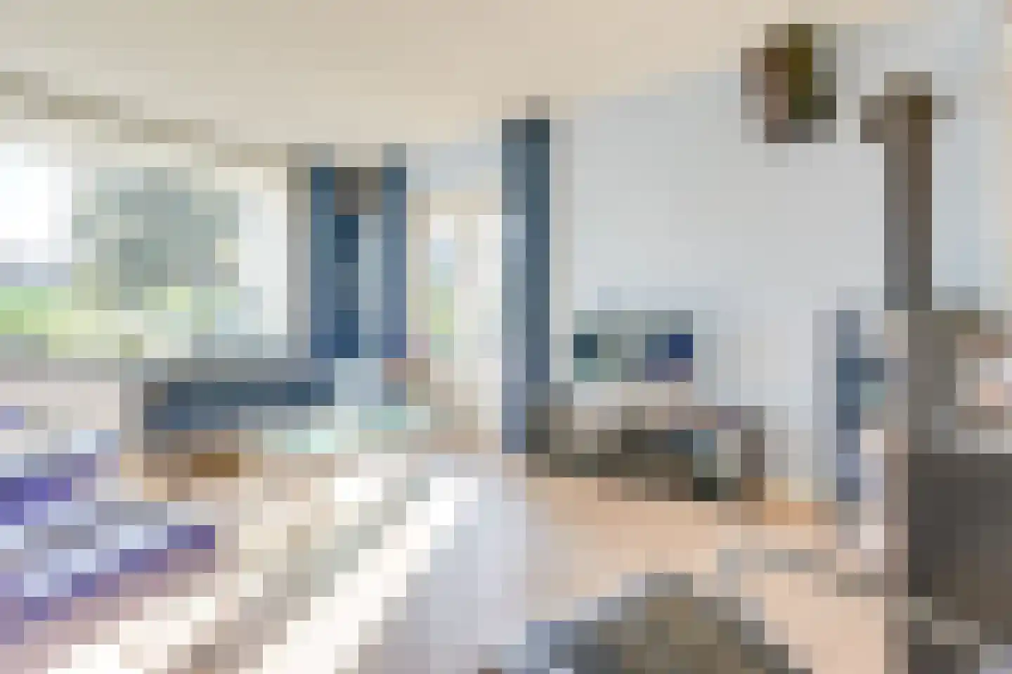 Populierstraat 2 Vianen thumbnail 8