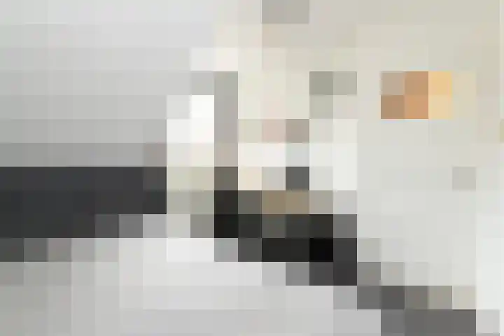 Populierstraat 22 Utrecht thumbnail 15