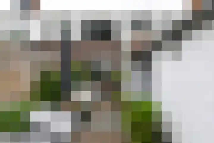 Populierstraat 22 Utrecht thumbnail 25