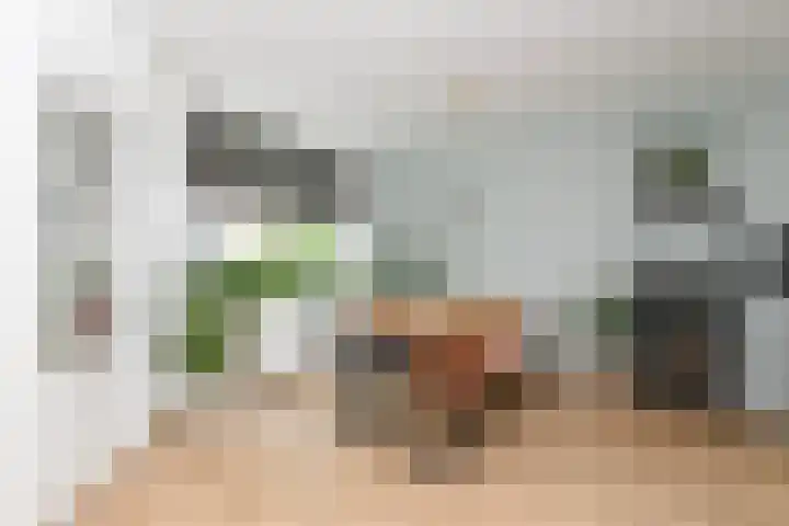 Populierstraat 22 Utrecht thumbnail 7