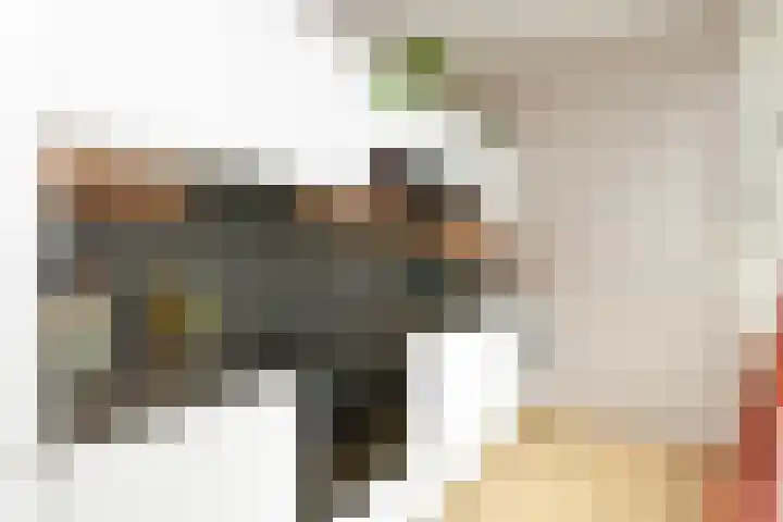 Populierstraat 22 Utrecht thumbnail 9