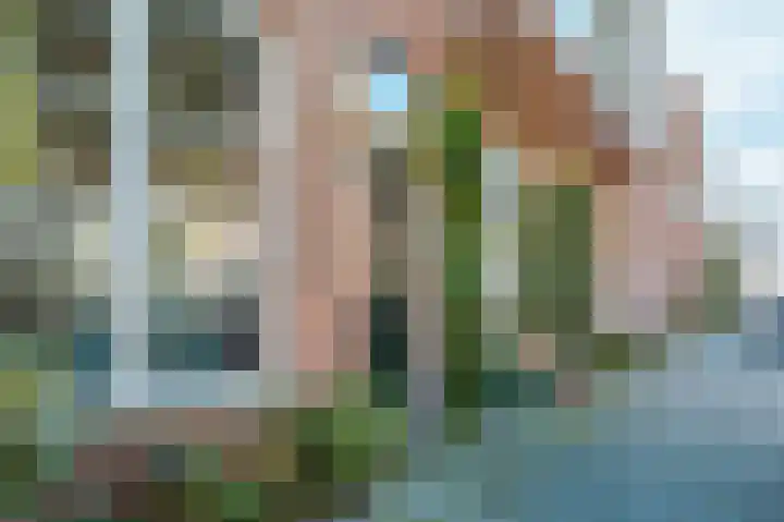 Populierstraat 24 Den Haag thumbnail 5